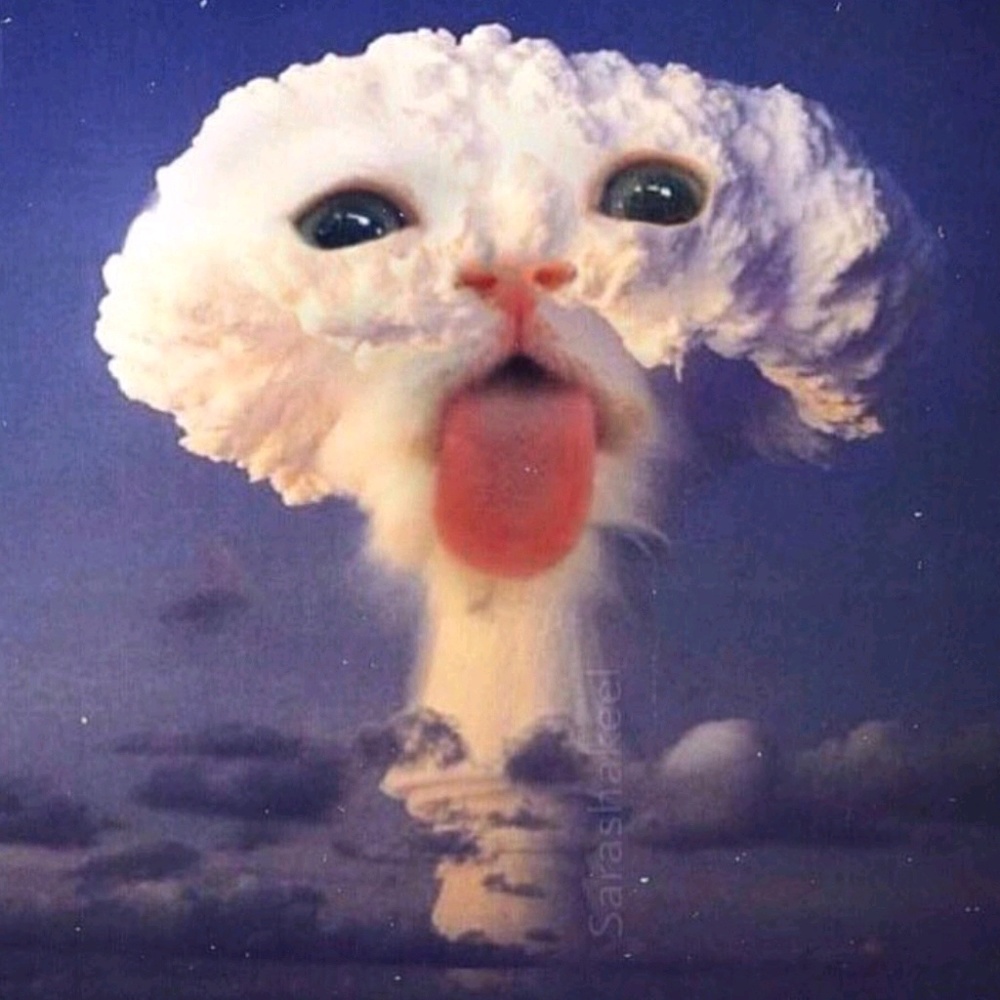 Meet your Posher, Hilary